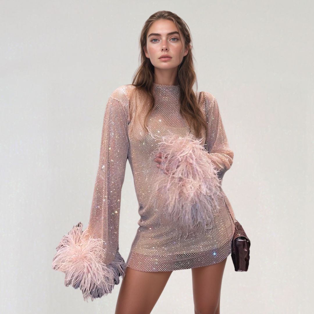 Sparkly Feather Trim Mesh Transparent Mini Dress